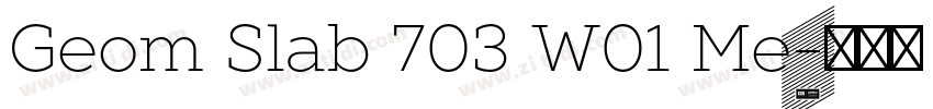 Geom Slab 703 W01 Me字体转换